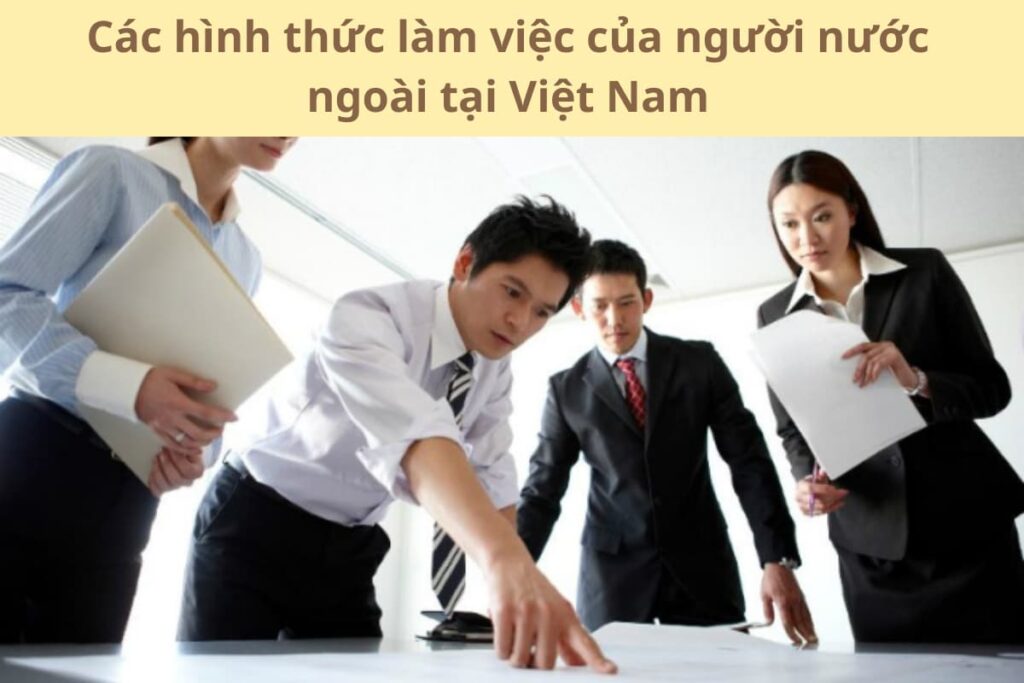 Các hình thức làm việc của người nước ngoài tại Việt Nam
