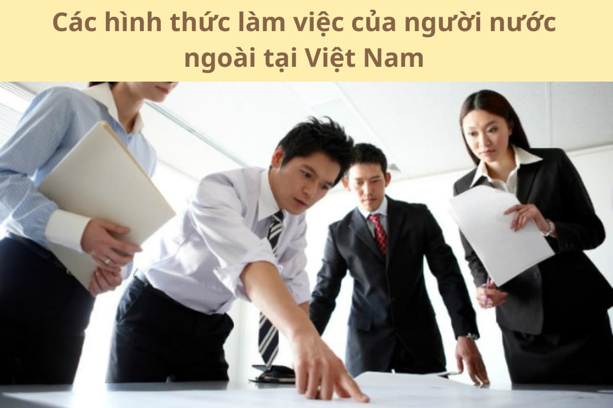 Các hình thức làm việc của người nước ngoài tại Việt Nam